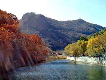 新澳天天开奖资料大全旅游团，山东秸秆煤